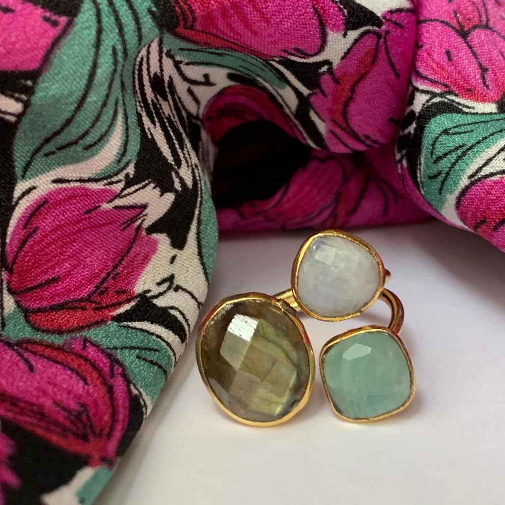 anillos