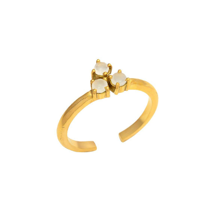 anillos