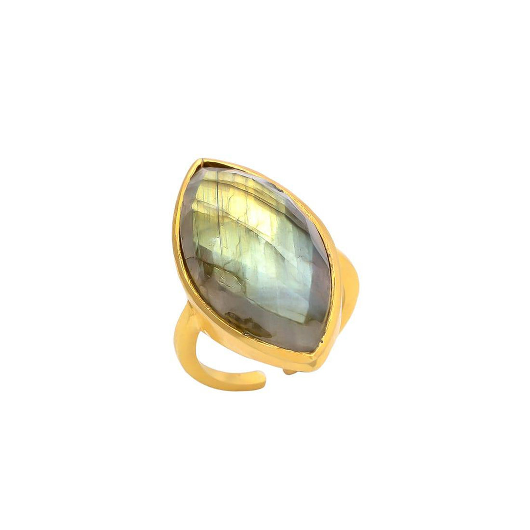 anillos
