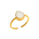 anillos