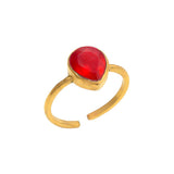 anillos
