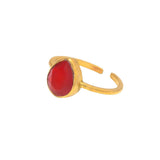 anillos de colores